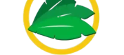 Logo de Selva Maya